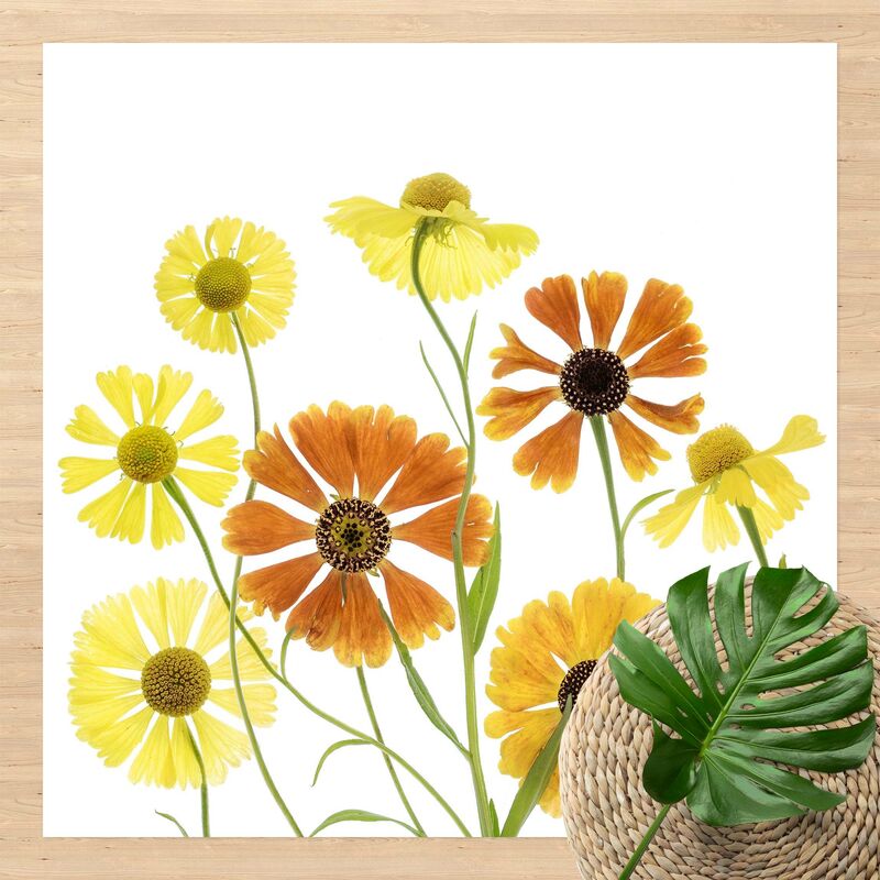 

Alfombras vinílicas - Helenium - Cuadrado 1:1 Dimensión LxA: 80cm x 80cm