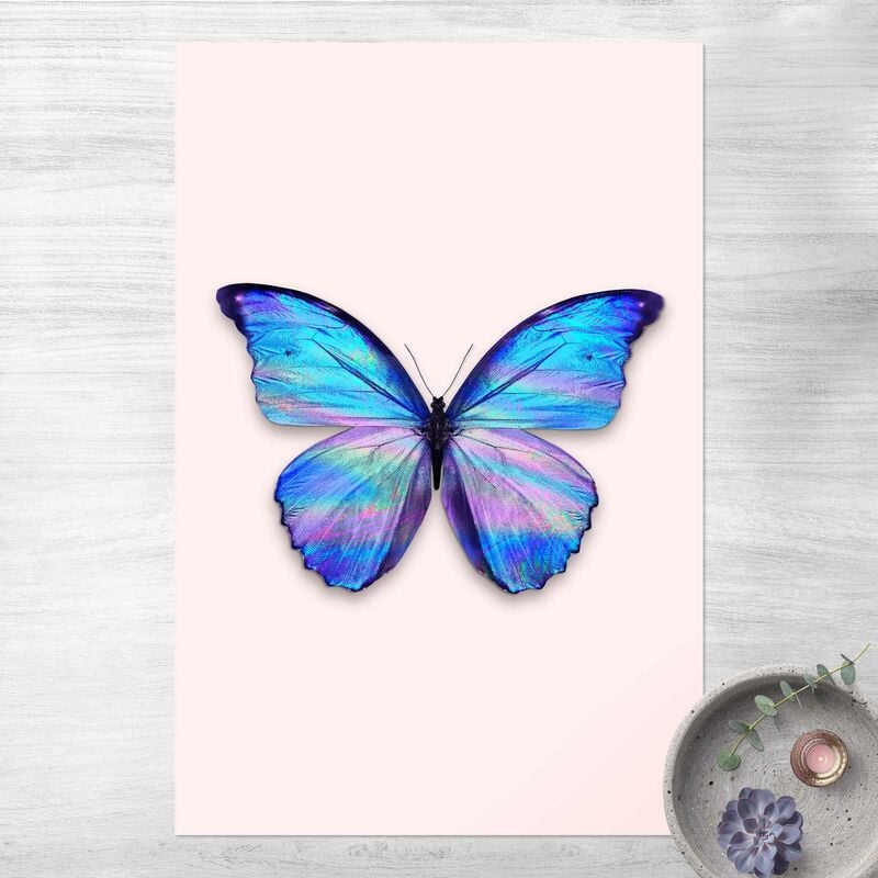 

Alfombras vinílicas - Holographic Butterfly - Alto 3:2 Dimensión LxA: 180cm x 120cm