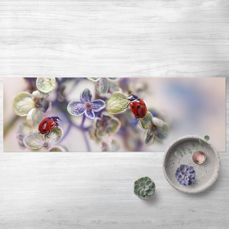 

Alfombras vinílicas - Ladybird In The Garden - Panorama Formato apaisado Dimensión LxA: 70cm x 210cm