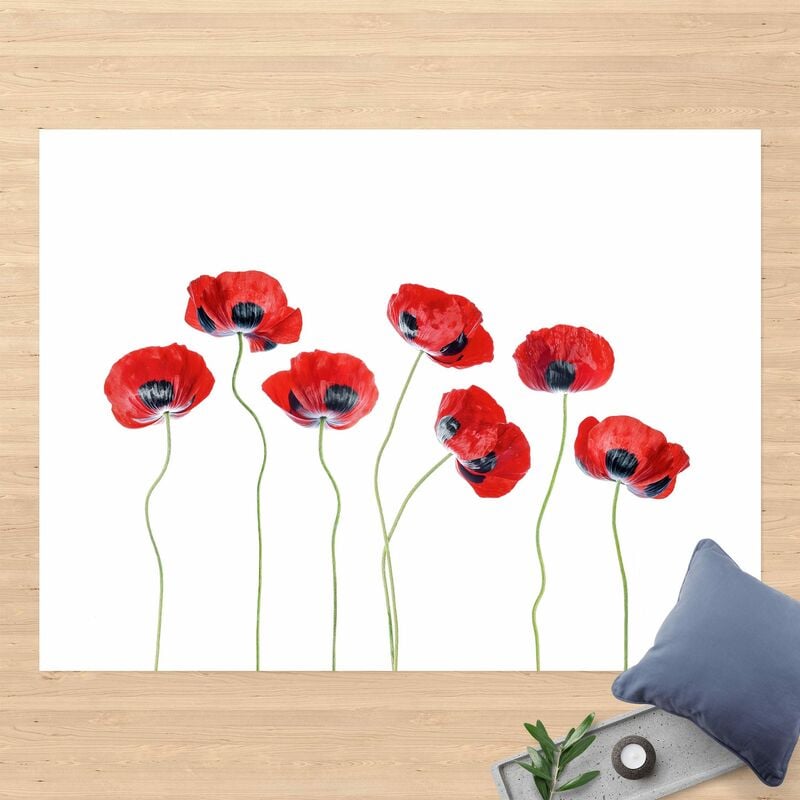 

Alfombras vinílicas - Ladybird Poppy - Apaisado 3:4 Dimensión LxA: 135cm x 180cm