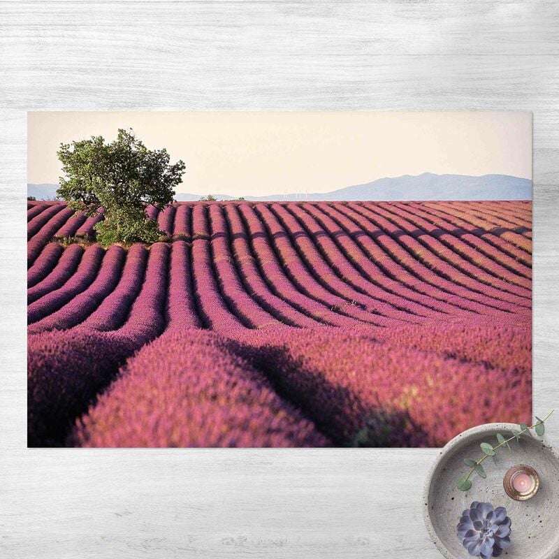 

Alfombras vinílicas - Lavender - Apaisado 2:3 Dimensión LxA: 40cm x 60cm