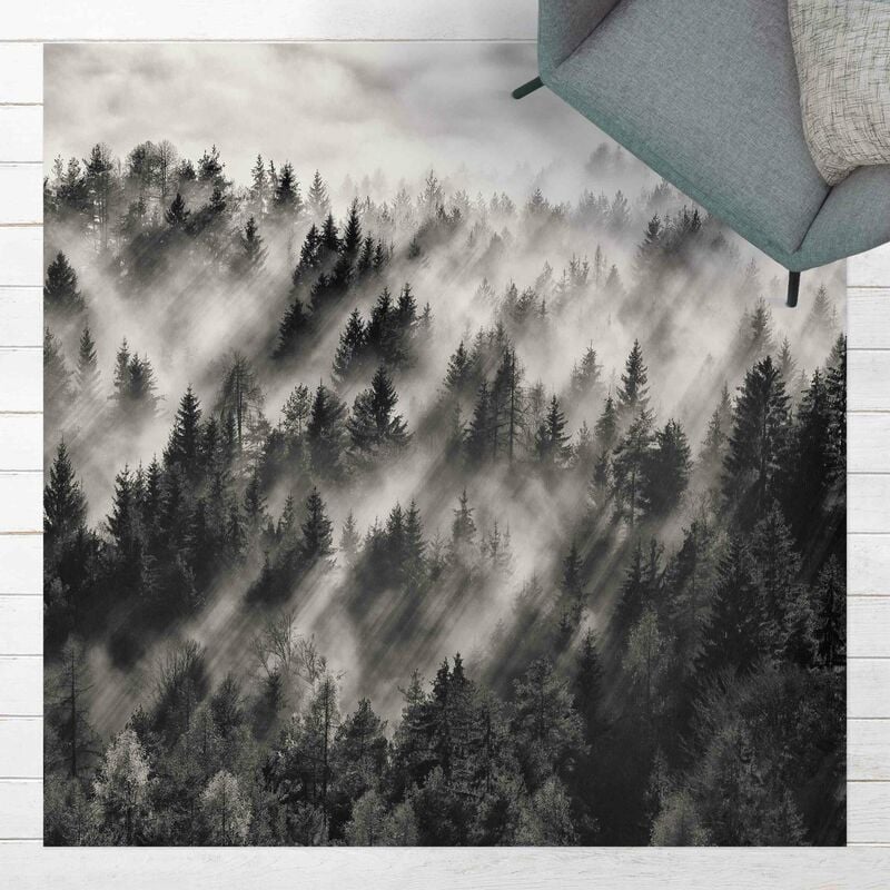

Alfombras vinílicas - Light Beams In The Coniferous Forest - Cuadrado 1:1 Dimensión LxA: 60cm x 60cm