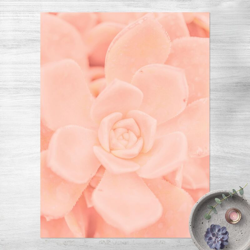 

Alfombras vinílicas - Light Pink Floral Magic Echeveria - Alto 4:3 Dimensión LxA: 120cm x 90cm