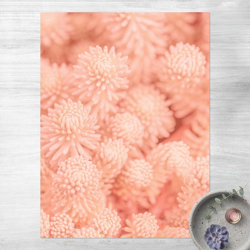 

Alfombras vinílicas - Light Pink Floral Magic Sedum - Alto 4:3 Dimensión LxA: 100cm x 75cm