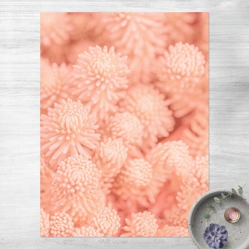 

Alfombras vinílicas - Light Pink Floral Magic Sedum - Alto 4:3 Dimensión LxA: 120cm x 90cm