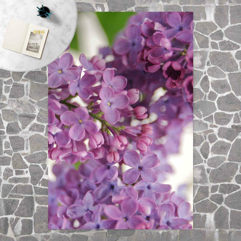 

Alfombras vinílicas - Lovely Lilac - Alto 3:2 Dimensión LxA: 120cm x 80cm