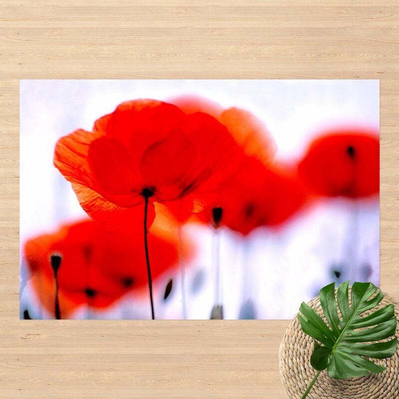 

Alfombras vinílicas - Magic Poppies - Apaisado 2:3 Dimensión LxA: 140cm x 210cm