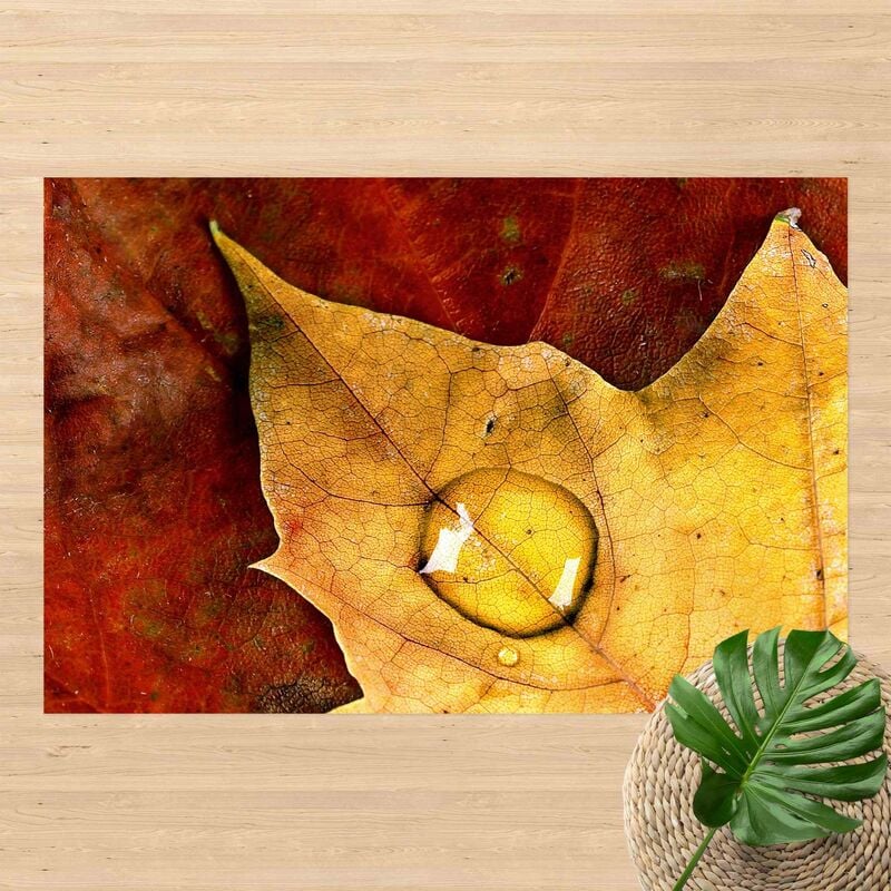 

Alfombras vinílicas - Magical Leaf - Apaisado 2:3 Dimensión LxA: 100cm x 150cm