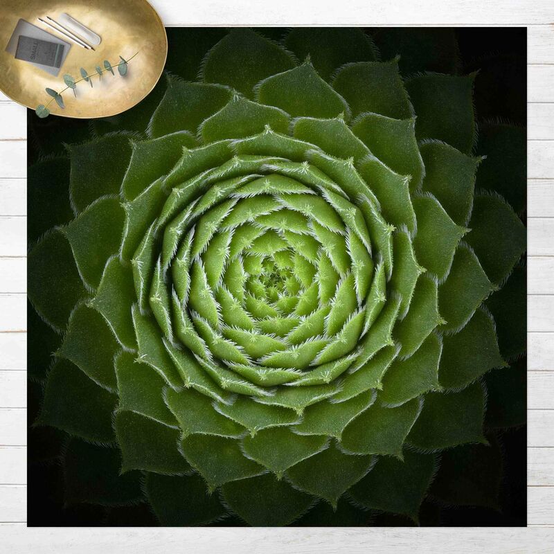 

Alfombras vinílicas - Mandala Succulent Plant - Cuadrado 1:1 Dimensión LxA: 60cm x 60cm