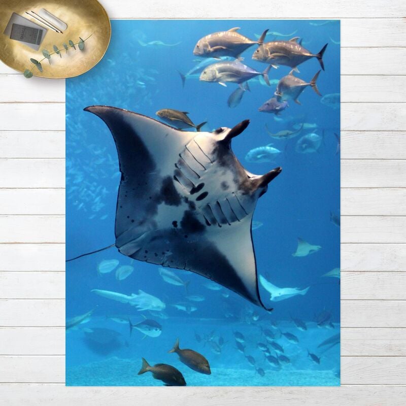 

Alfombras vinílicas - Manta Ray - Alto 4:3 Dimensión LxA: 180cm x 135cm