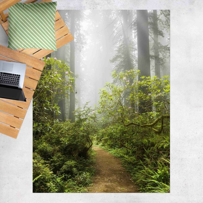 

Alfombras vinílicas - Misty Forest Path - Alto 4:3 Dimensión LxA: 160cm x 120cm