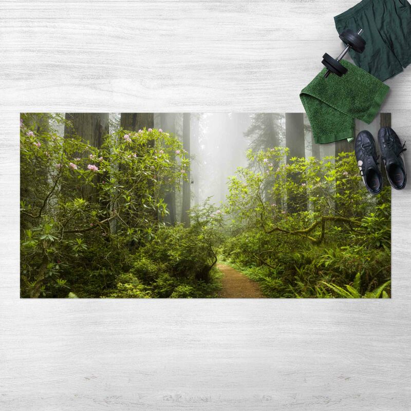 

Alfombras vinílicas - Misty Forest Path - Apaisado 1:2 Dimensión LxA: 70cm x 140cm