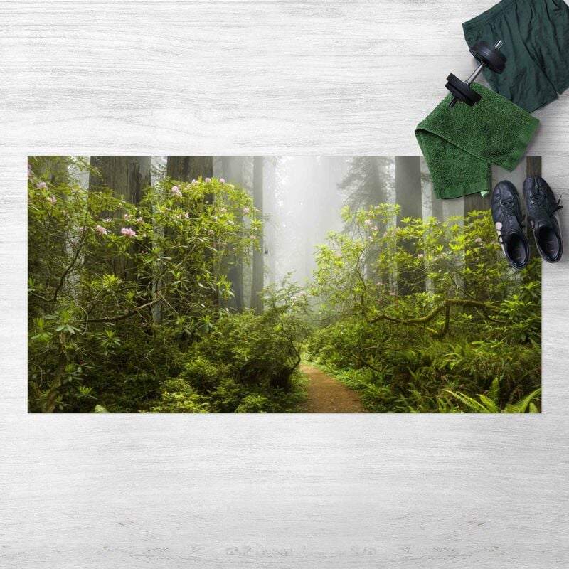 

Alfombras vinílicas - Misty Forest Path - Apaisado 1:2 Dimensión LxA: 50cm x 100cm