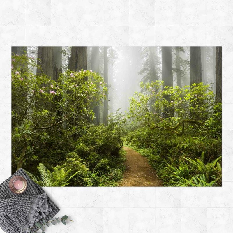 

Alfombras vinílicas - Misty Forest Path - Apaisado 2:3 Dimensión LxA: 80cm x 120cm