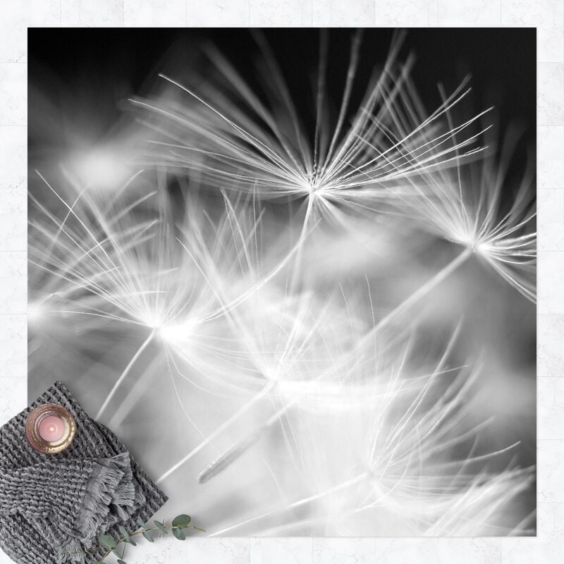 

Alfombras vinílicas - Moving Dandelions Close Up On Black Background - Cuadrado 1:1 Dimensión LxA: 40cm x 40cm