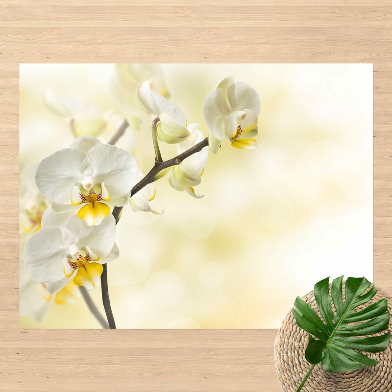 

Alfombras vinílicas - Orchid Twig - Apaisado 3:4 Dimensión LxA: 75cm x 100cm