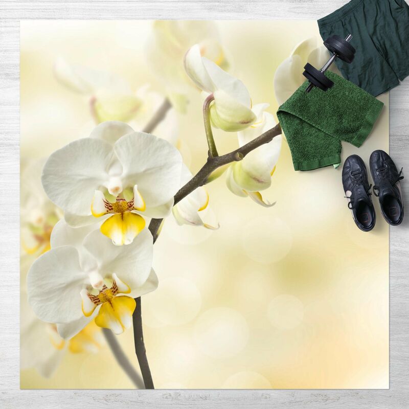 

Alfombras vinílicas - Orchid Twig - Cuadrado 1:1 Dimensión LxA: 100cm x 100cm
