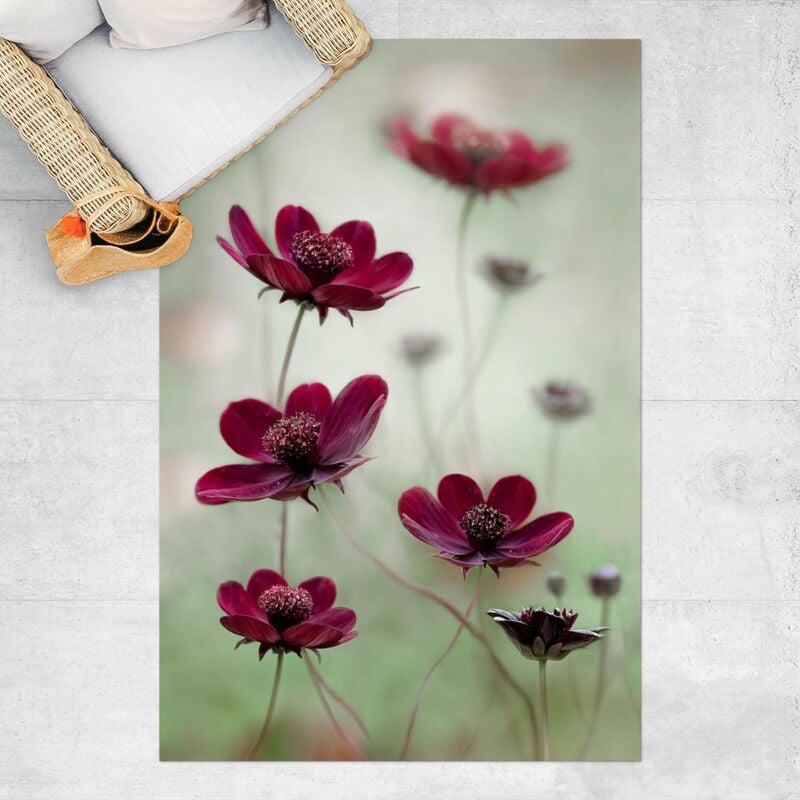 

Alfombras vinílicas - Pink Cosmos Flower - Alto 3:2 Dimensión LxA: 120cm x 80cm