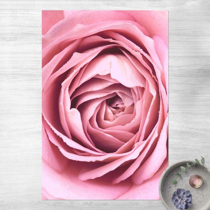 

Alfombras vinílicas - Pink Rose Blossom - Alto 3:2 Dimensión LxA: 150cm x 100cm