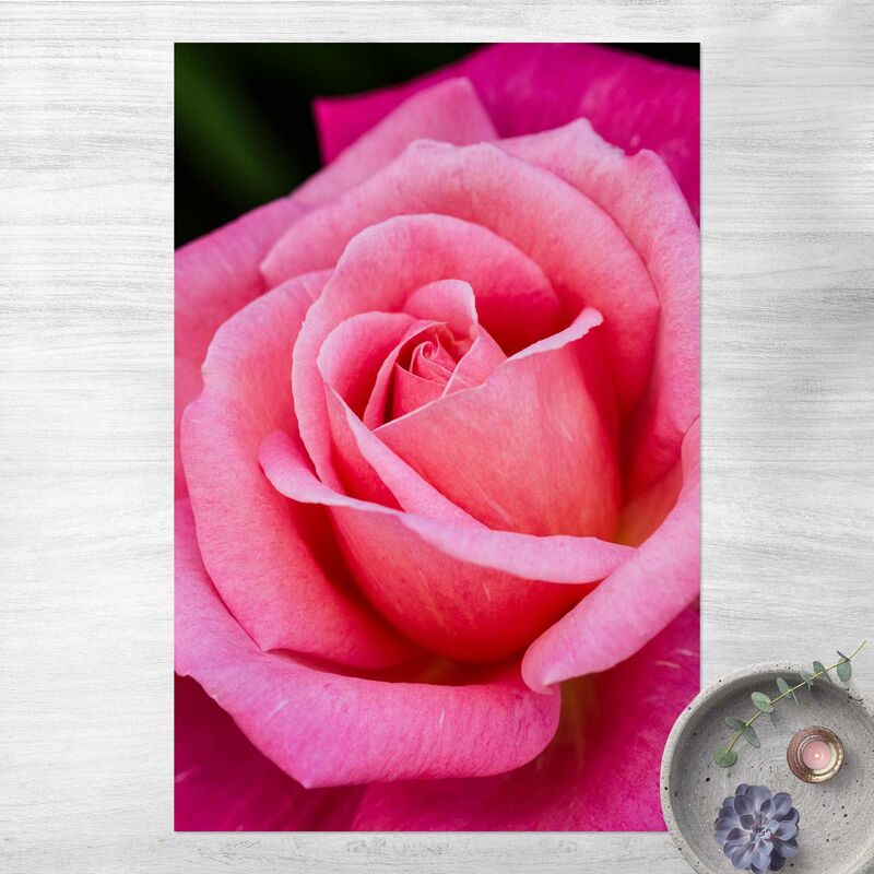 

Alfombras vinílicas - Pink Rose Flowers Green Backdrop - Alto 3:2 Dimensión LxA: 210cm x 140cm