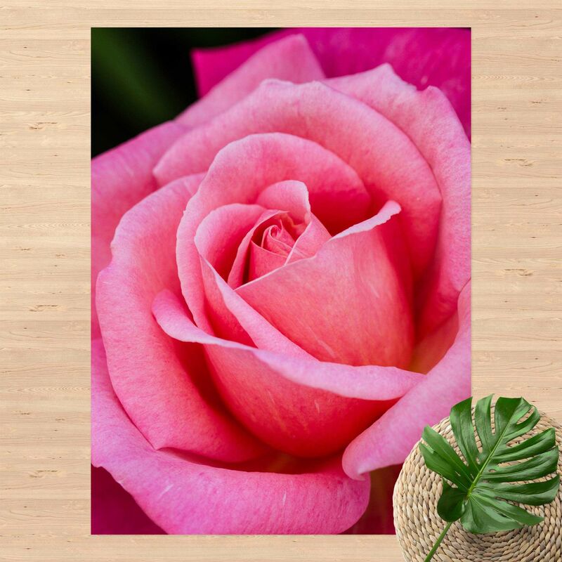 

Alfombras vinílicas - Pink Rose Flowers Green Backdrop - Alto 4:3 Dimensión LxA: 180cm x 135cm