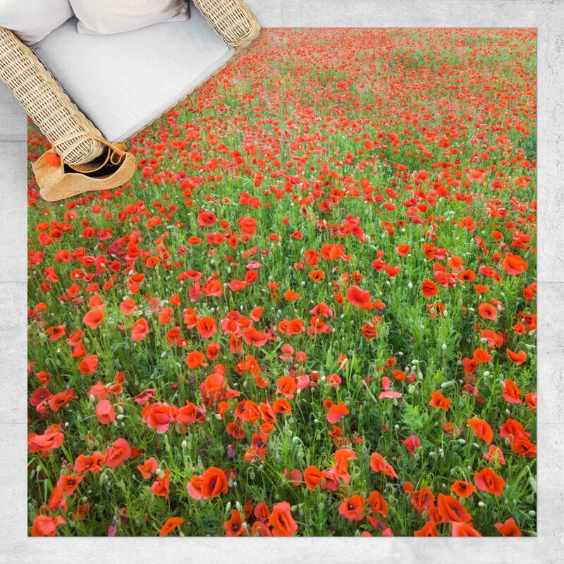 

Bilderwelten - Alfombras vinílicas - Poppy Field - Cuadrado 1:1 Dimensión LxA: 40cm x 40cm