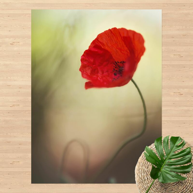 

Alfombras vinílicas - Poppy In The Garden - Alto 4:3 Dimensión LxA: 160cm x 120cm