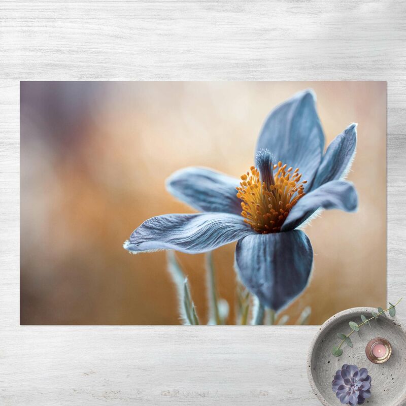 

Alfombras vinílicas - Pulsatilla In blue - Apaisado 2:3 Dimensión LxA: 100cm x 150cm
