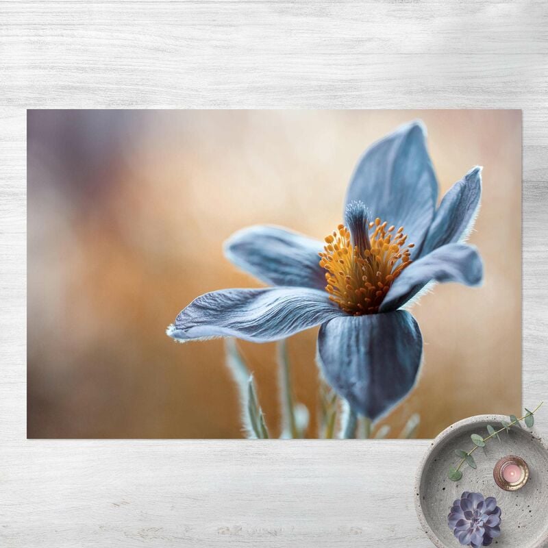 

Alfombras vinílicas - Pulsatilla In blue - Apaisado 2:3 Dimensión LxA: 120cm x 180cm