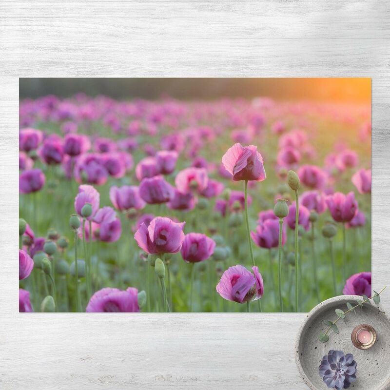

Alfombras vinílicas - Purple Poppy Flower Meadow In Spring - Apaisado 2:3 Dimensión LxA: 40cm x 60cm