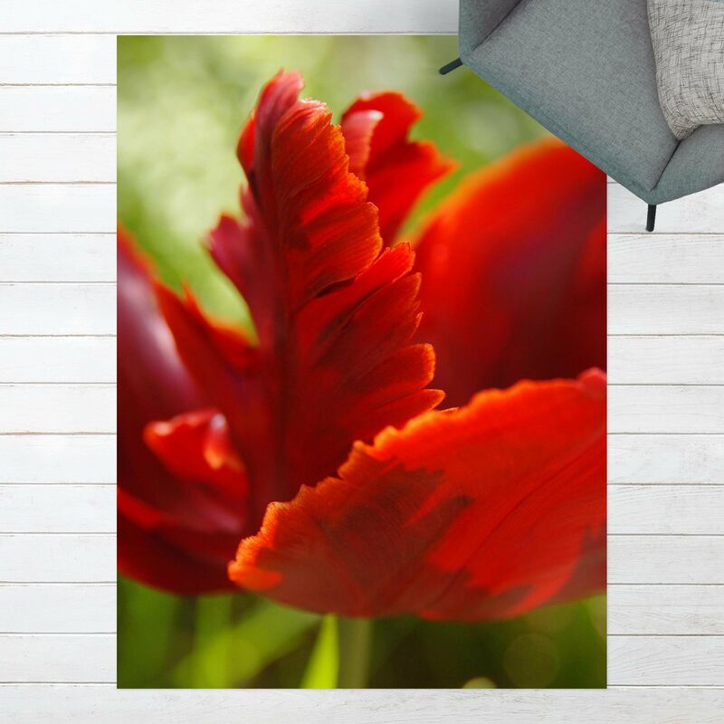 

Alfombras vinílicas - Red Tulip - Alto 4:3 Dimensión LxA: 60cm x 45cm