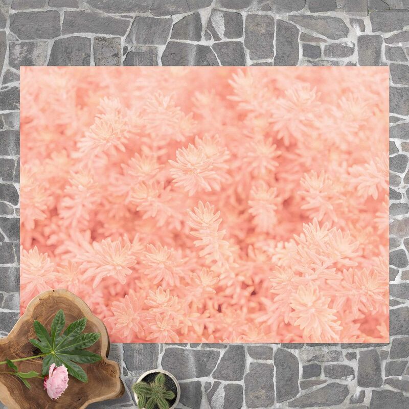 

Alfombras vinílicas - Rosemary Light Pink - Apaisado 3:4 Dimensión LxA: 60cm x 80cm