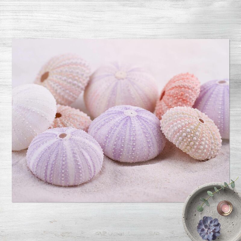 

Alfombras vinílicas - Sea Urchin In Pastel - Apaisado 3:4 Dimensión LxA: 75cm x 100cm