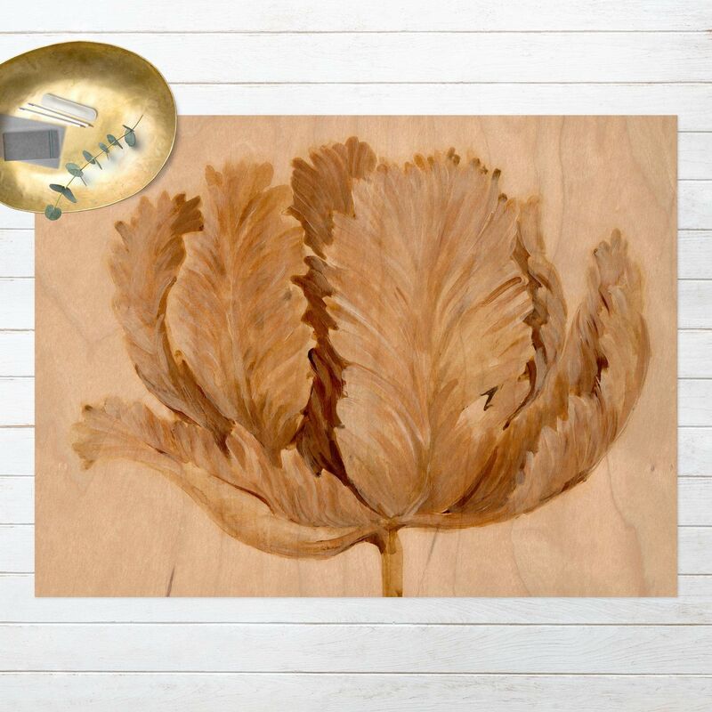 

Alfombras vinílicas - Sepia Tulip On Wood ll - Apaisado 3:4 Dimensión LxA: 105cm x 140cm