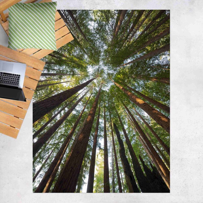 

Alfombras vinílicas - Sequoia Tree Tops - Alto 4:3 Dimensión LxA: 140cm x 105cm