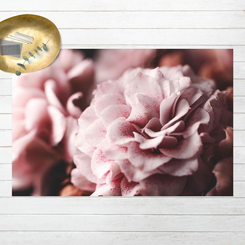 

Alfombras vinílicas - Shabby Light Pink Rose Pastel - Apaisado 2:3 Dimensión LxA: 140cm x 210cm