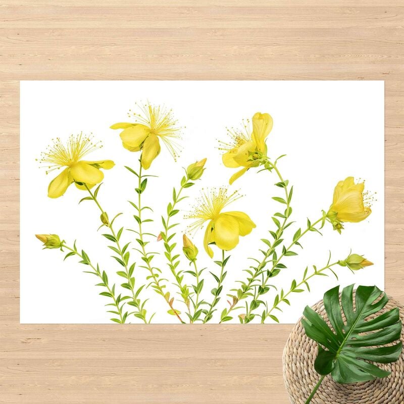 

Alfombras vinílicas - St. John's Wort In Full Bloom - Apaisado 2:3 Dimensión LxA: 120cm x 180cm