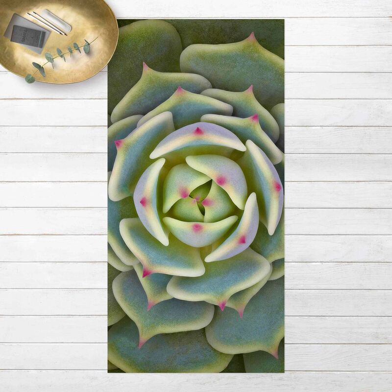 

Bilderwelten - Alfombras vinílicas - Succulent Plant - Echeveria Ben Badis - Alto 2:1 Dimensión LxA: 180cm x 90cm