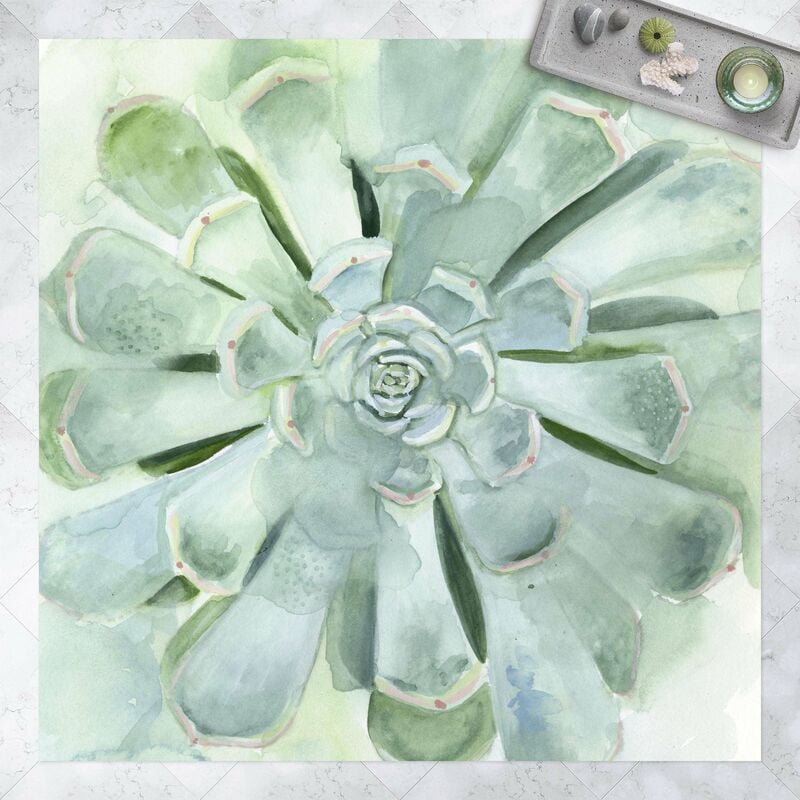 

Alfombras vinílicas - Succulent Plant Watercolour Light Coloured - Cuadrado 1:1 Dimensión LxA: 40cm x 40cm