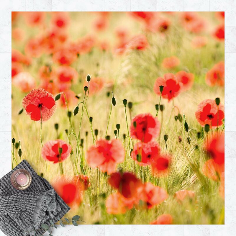 

Alfombras vinílicas - Summer Poppies - Cuadrado 1:1 Dimensión LxA: 40cm x 40cm