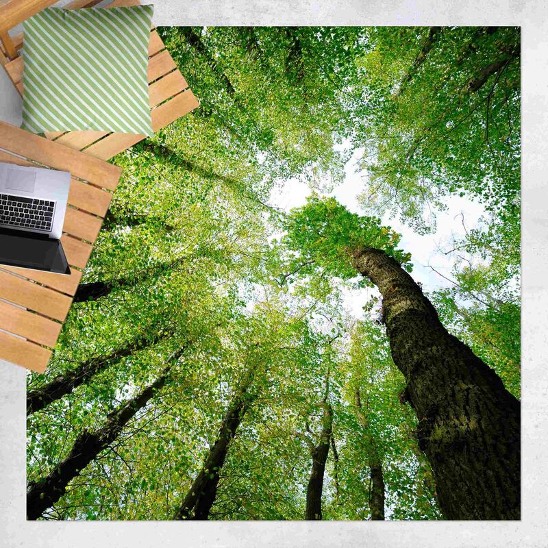 

Alfombras vinílicas - Trees Of Life - Cuadrado 1:1 Dimensión LxA: 100cm x 100cm