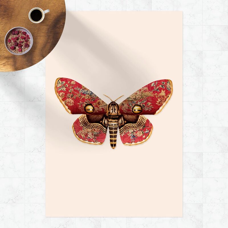 

Alfombras vinílicas - Vintage Moth - Alto 3:2 Dimensión LxA: 210cm x 140cm