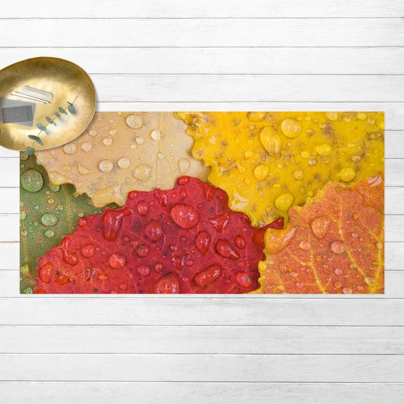 

Alfombras vinílicas - Water Drops On Colourful Leaves - Apaisado 1:2 Dimensión LxA: 110cm x 220cm