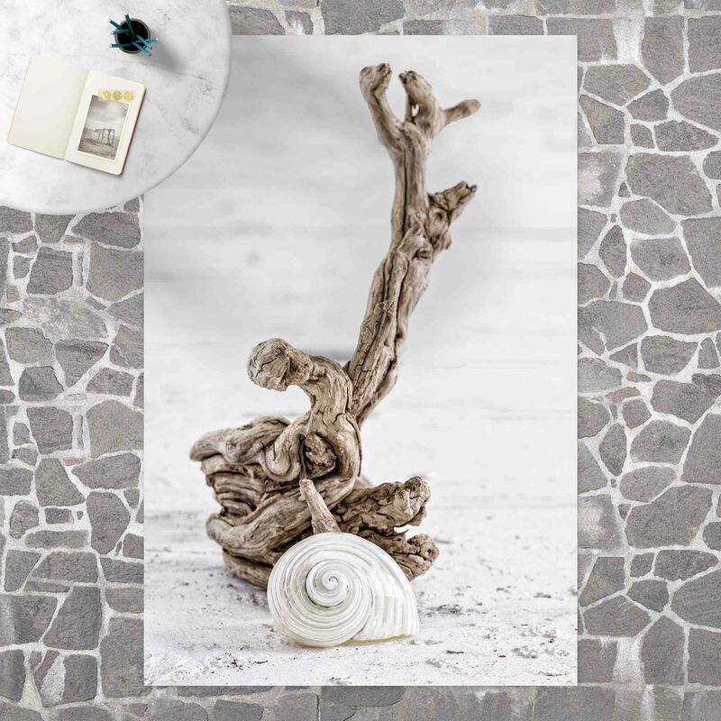 

Bilderwelten - Alfombras vinílicas - White Snail Shell And Root Wood - Alto 3:2 Dimensión LxA: 210cm x 140cm