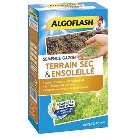 ALGOFLASH - Gazon terrain sec ensoleille 1kg
