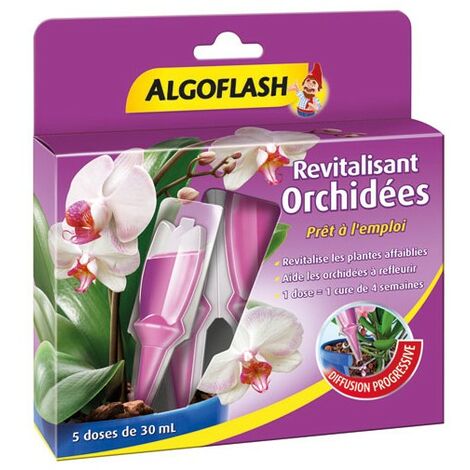 ALGOFLASH - Monodose revitalisante orchidées 30ml