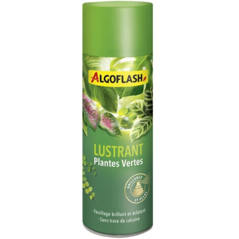 ALGOFLASH - Pulidor de Plantas Verdes 250 mL