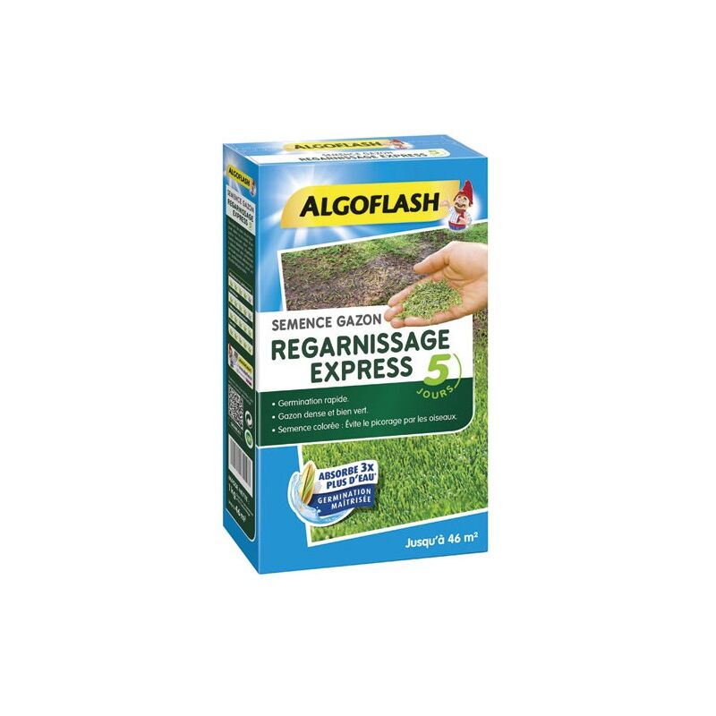 Semence gazon express 1 kg