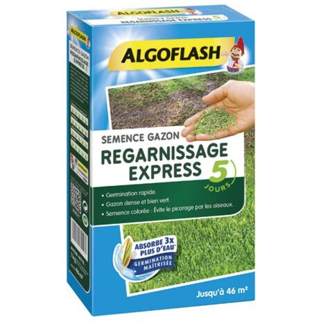 ALGOFLASH Semences gazon regarnissage express - 1 Kg
