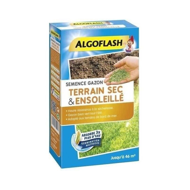 Algoflash - Gazon terrain sec ensoleillé 1kg